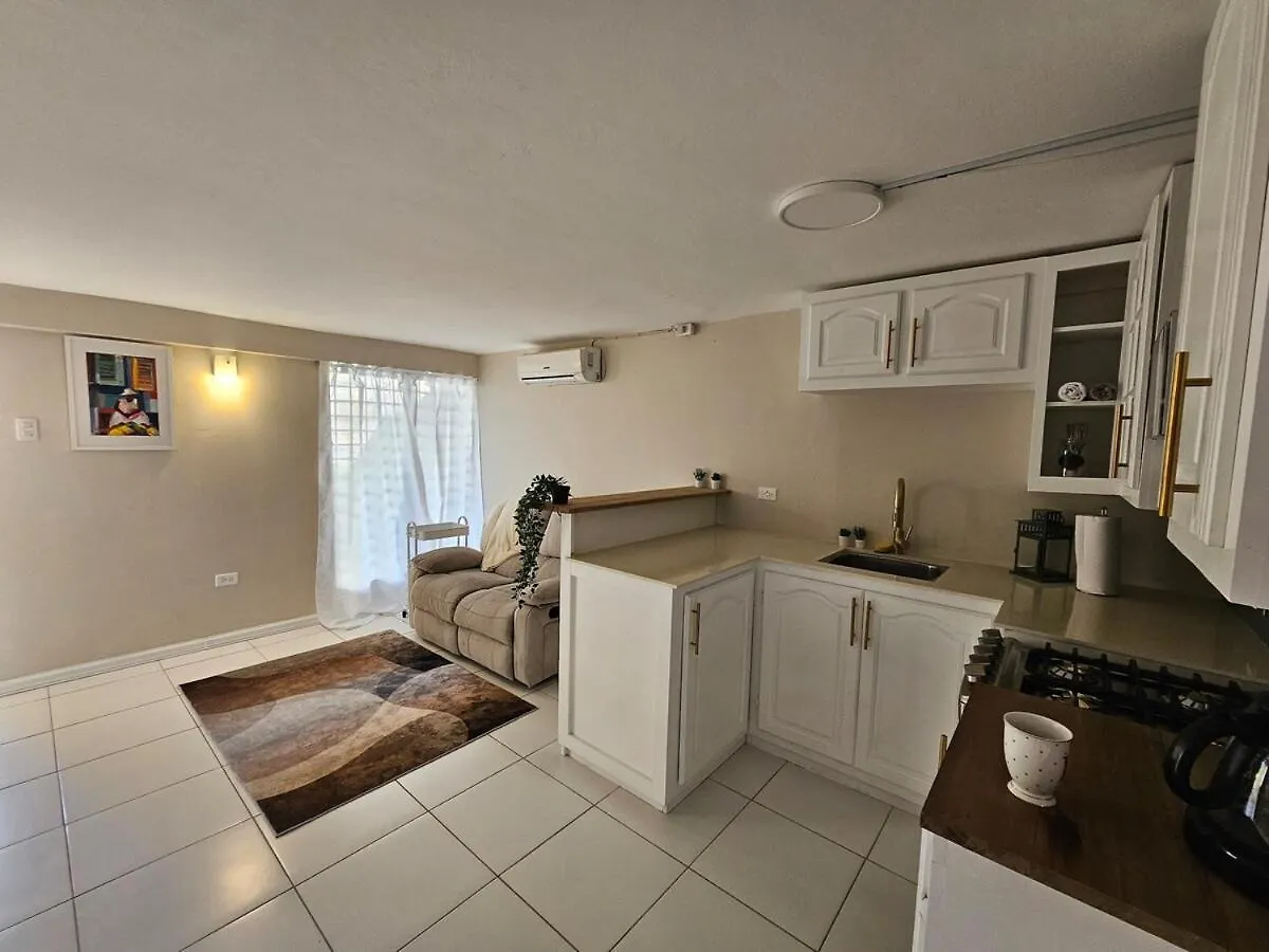 Cozy & Serene Apt Near Savannah Port of Spain Apartment